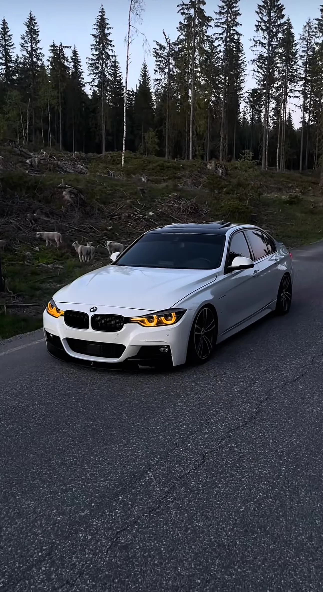 CSL Icon-Style LED Headlights — BMW 3 Series (F30/F31) - White (LHD)