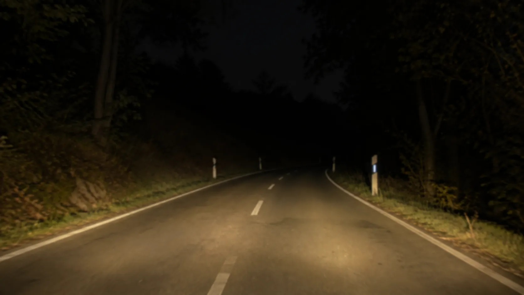 Werkseitiges BMW F30 Halogen-Abblendlicht nachts auf einer unbeleuchteten Straße – kurze, gelbstichige Reichweite