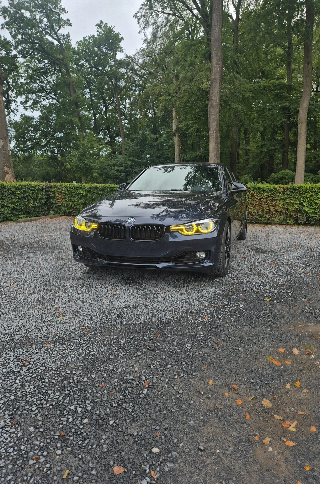 Review by Erik Kamstra for ELERON CSL Icon-Style LED Headlights — BMW 3 Series (F30/F31)