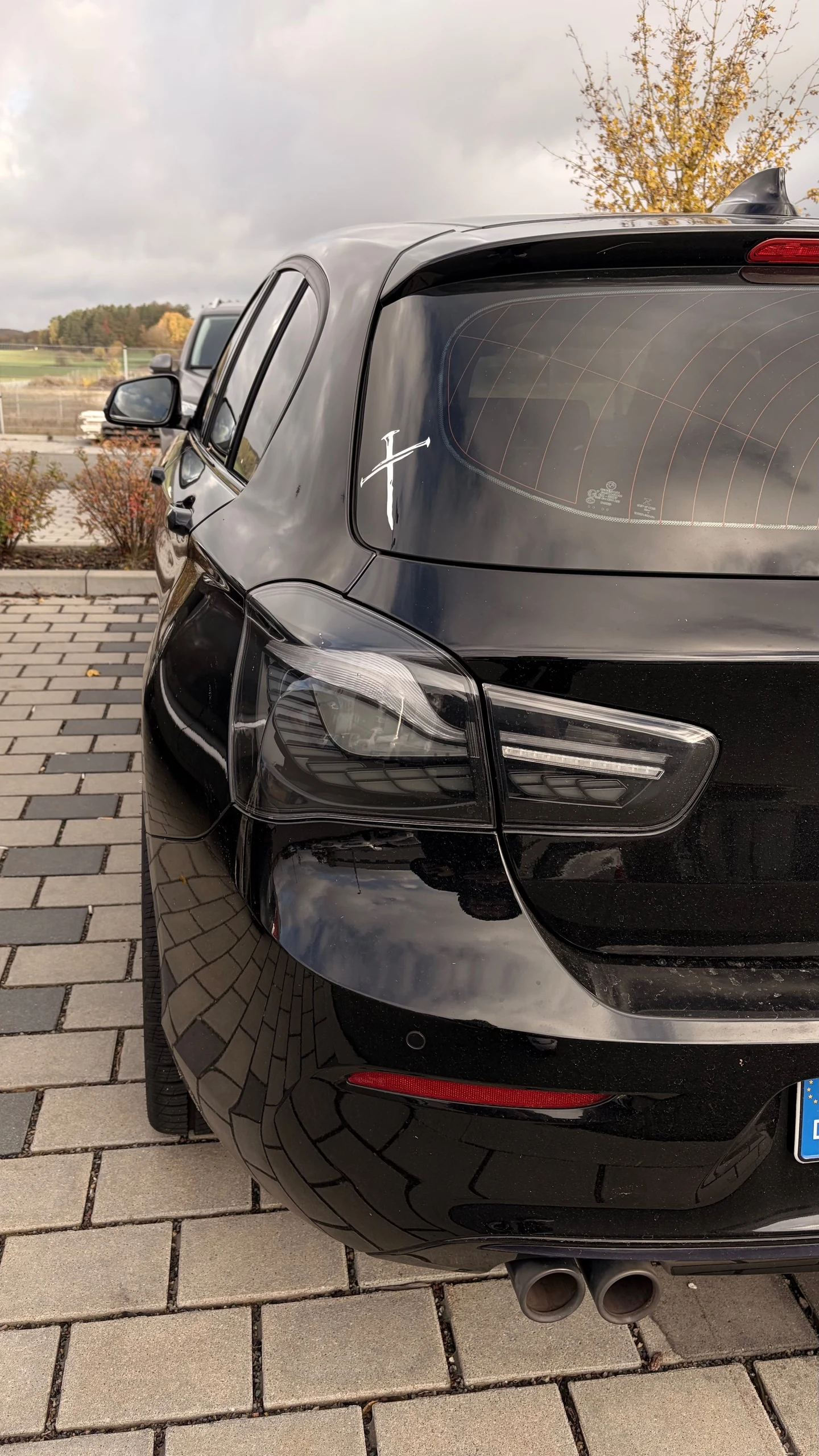 Review by Alexandr for ELERON BMW 1 Series (F20/F21) GTS-Style LED Tail Lights — Sequential Indicators & Startup Animation — LCI 2015–2019